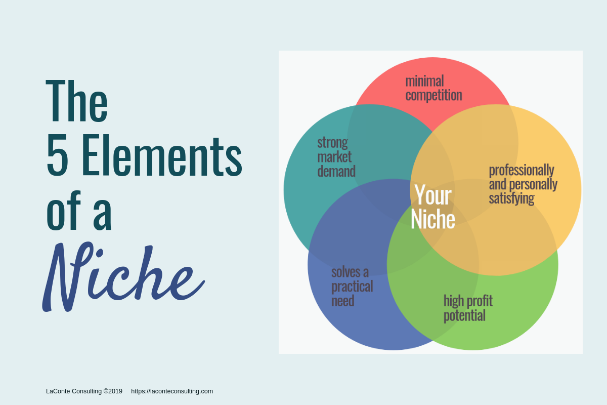 Newsletter Niche Refinement Framework